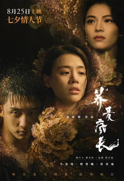 圣罗兰鱼子酱包尺寸
